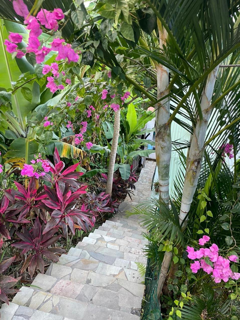 Вилла La Casita Ilohe Riviere-Salee Экстерьер фото